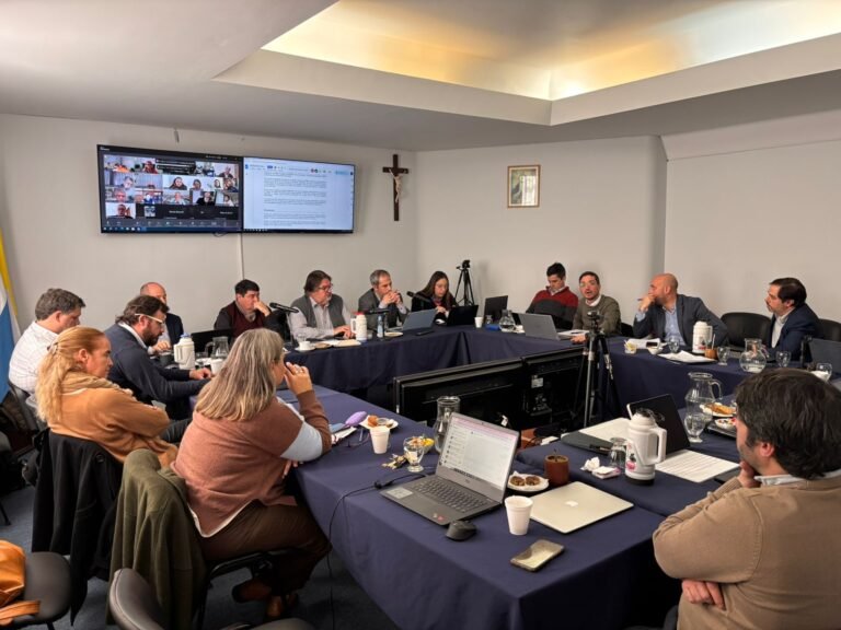Amplia agenda de la reunión de Directorio que se realizó esta mañana