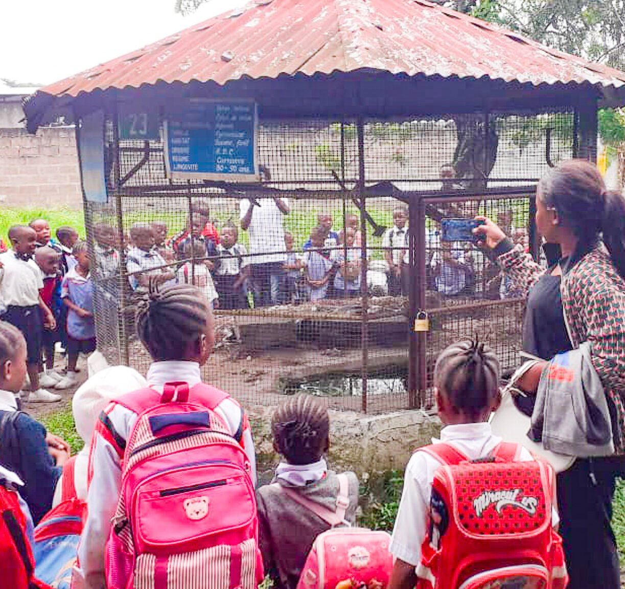El Collège Père Fosbery visita el zoo de Kinshasa