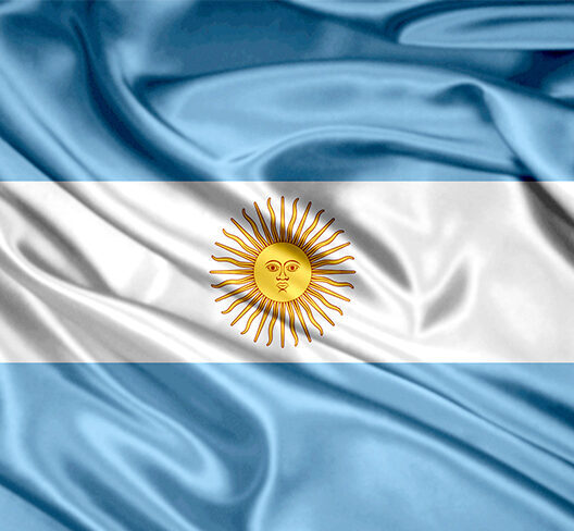 Argentina: el Gobierno declara el 2024 como el “Año de la Defensa de la Vida, la Libertad y la Propiedad”